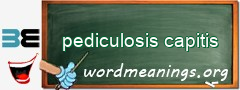 WordMeaning blackboard for pediculosis capitis